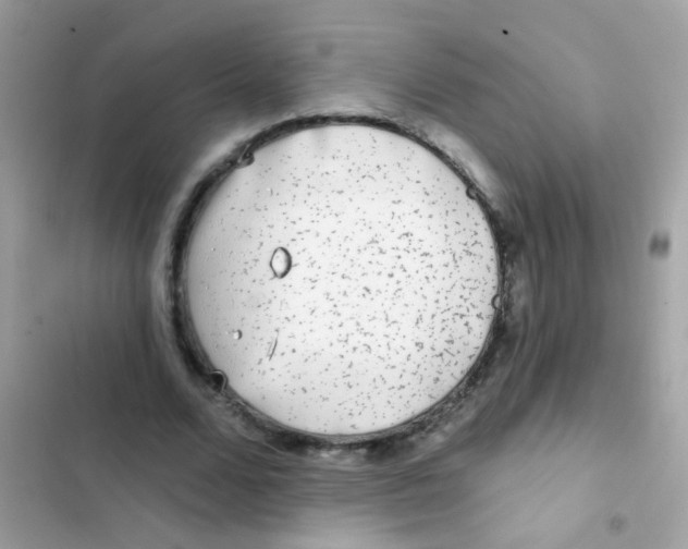 X0000103150680200809192030