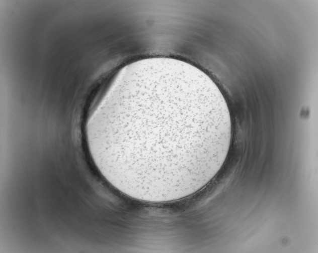 X0000103150681200809192030