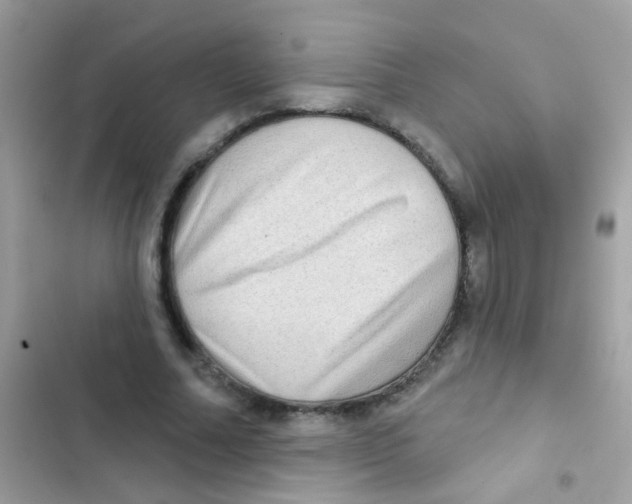 X0000103150682200809192030