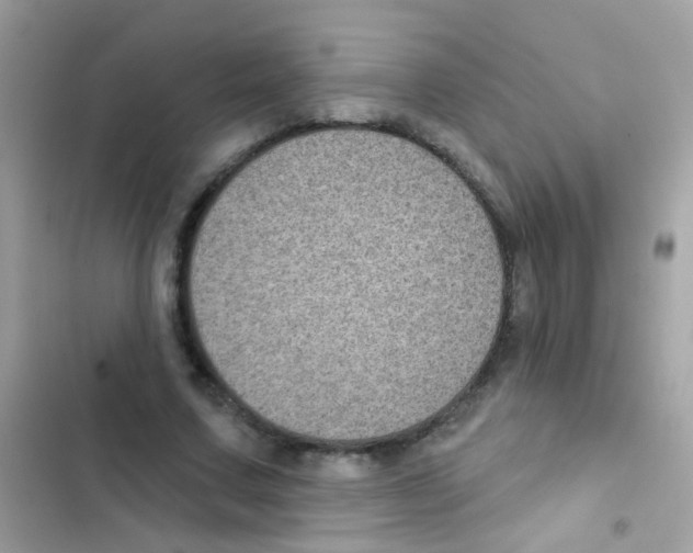 X0000103150683200809192030