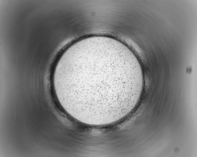 X0000103150684200809192030