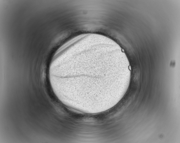 X0000103150685200809192030