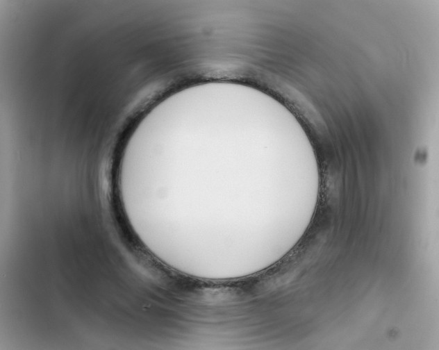 X0000103150686200809192030