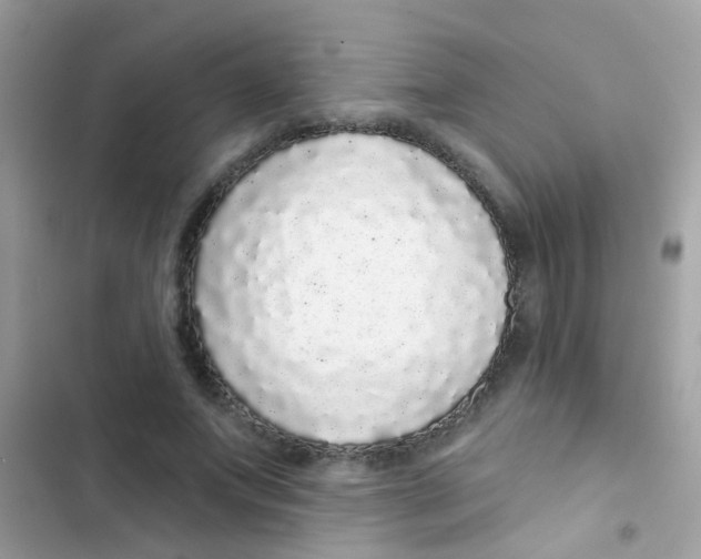 X0000103150687200809192030