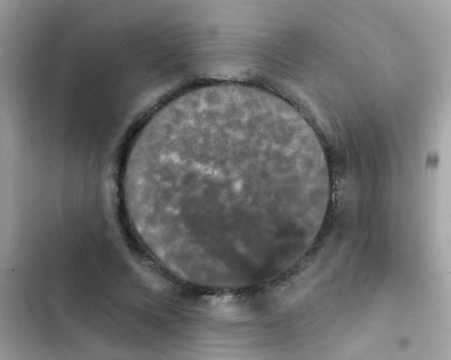 X0000103150688200809192030