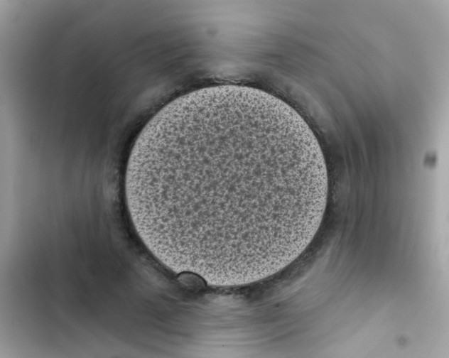 X0000103150689200809192030