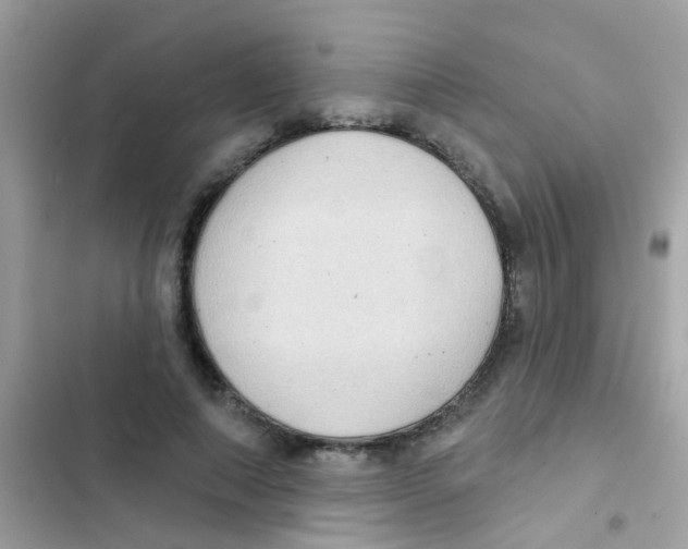 X0000103150690200809192030