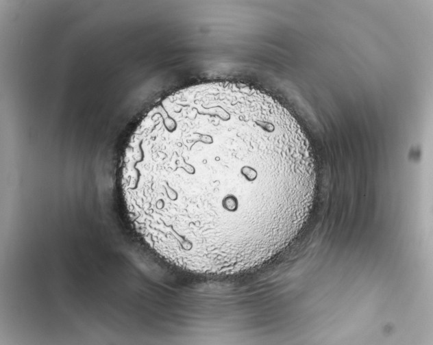 X0000103150691200809192030