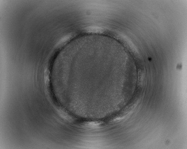 X0000103150692200809192030