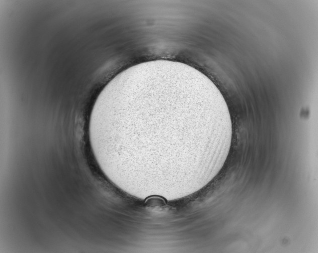 X0000103150693200809192030