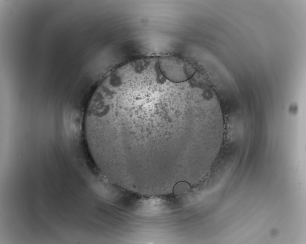 X0000103150695200809192030