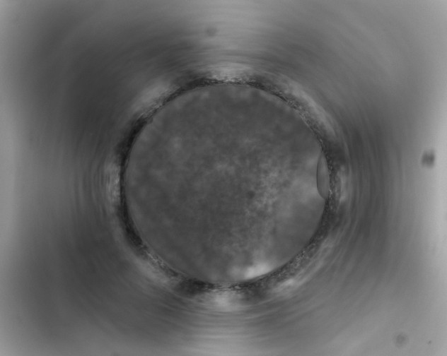 X0000103150696200809192030