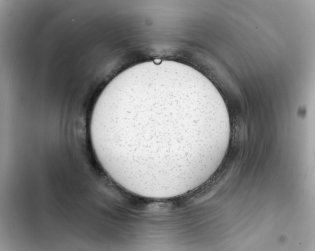 X0000103150700200809192030