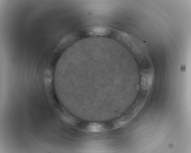 X0000103150701200809192029