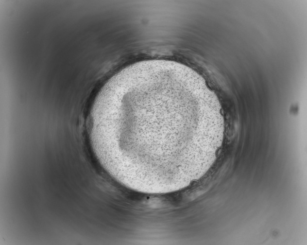 X0000103150704200809192029