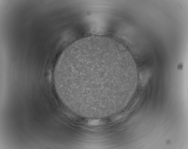 X0000103150705200809192029