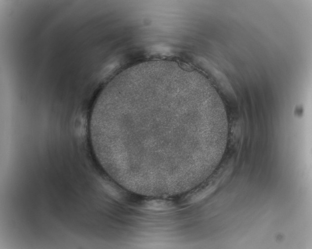 X0000103150708200809192029