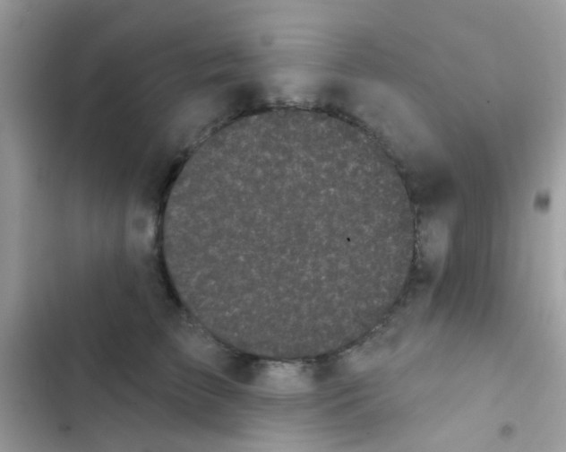 X0000103150709200809192029