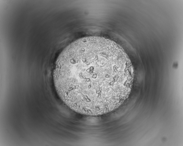 X0000103150711200809192029