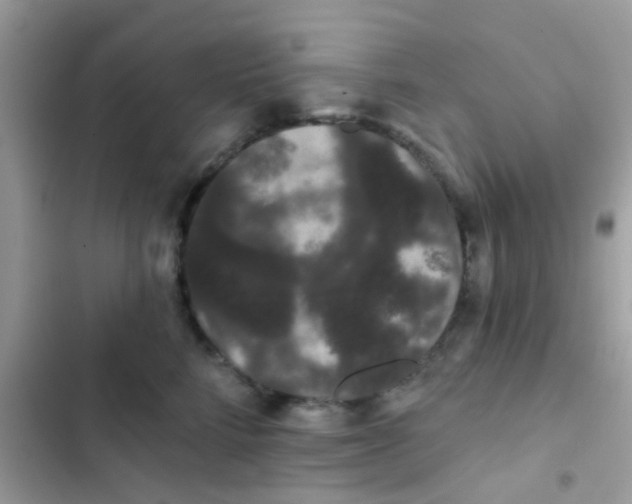 X0000103150712200809192029