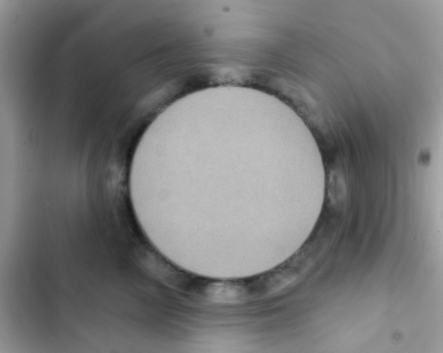 X0000103150714200809192029