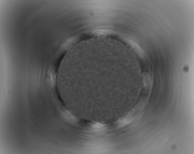 X0000103150718200809192029