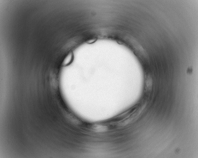 X0000103150719200809192029