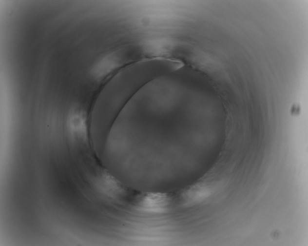 X0000103150720200809192029