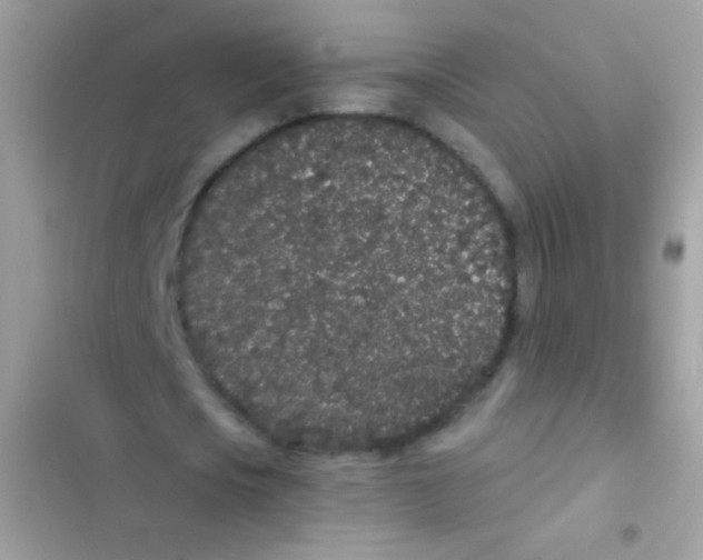 X0000103150721200809192028