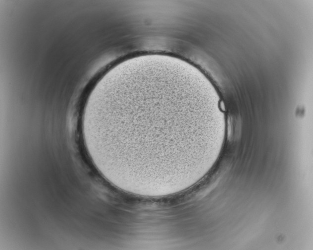 X0000103150723200809192028