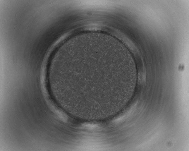 X0000103150724200809192028