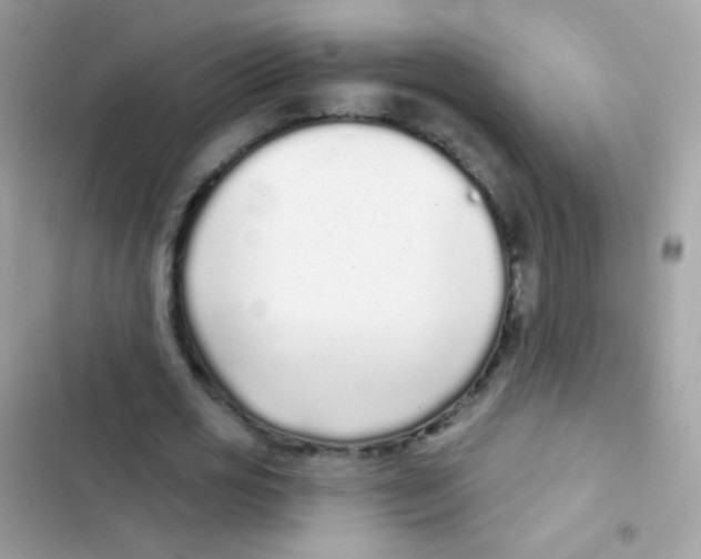 X0000103150725200809192028