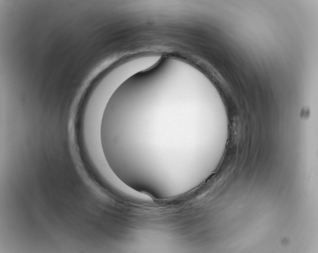 X0000103150726200809192028