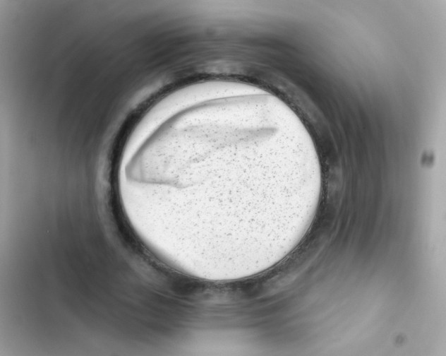 X0000103150727200809192028