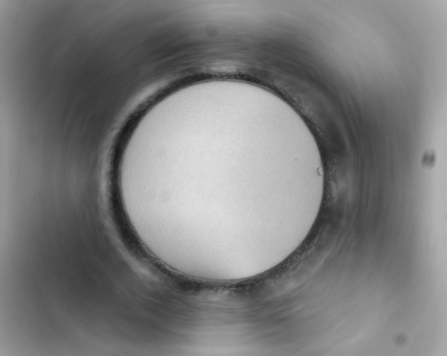 X0000103150728200809192029