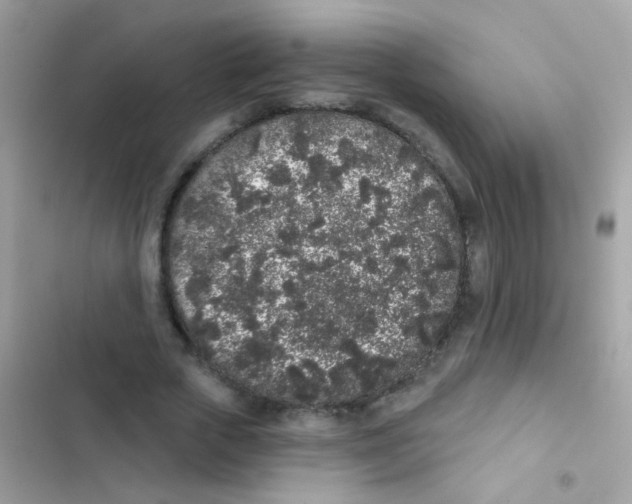 X0000103150729200809192029