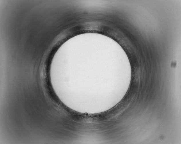 X0000103150731200809192029