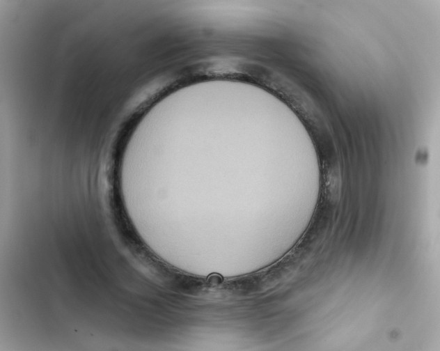 X0000103150732200809192029