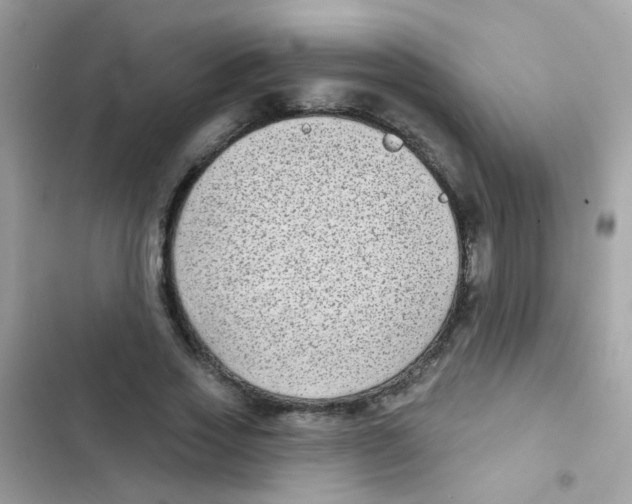 X0000103150733200809192029