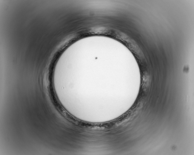 X0000103150734200809192029