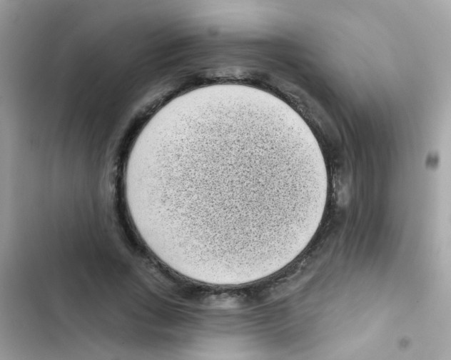 X0000103150735200809192029