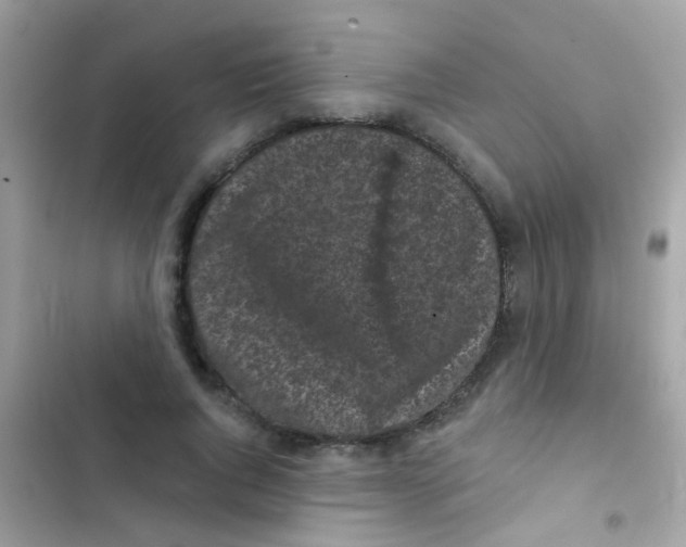 X0000103150736200809192029