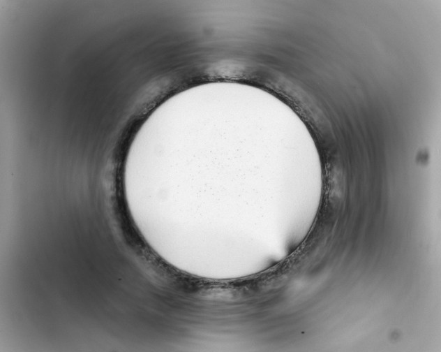 X0000103150738200809192029