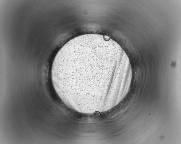 X0000103150739200809192029