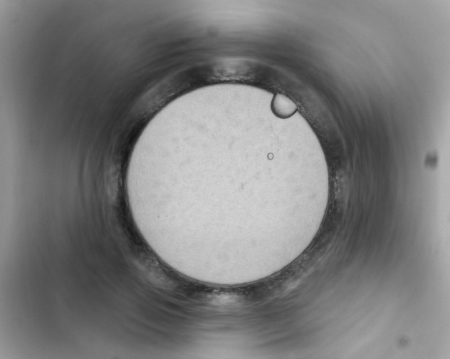 X0000103150741200809192029