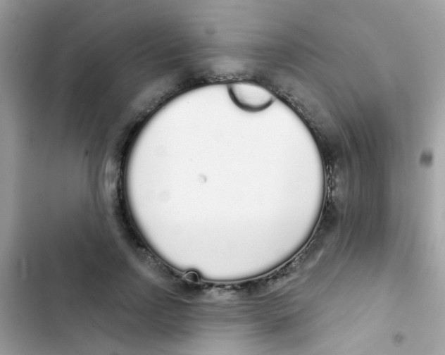 X0000103150742200809192029