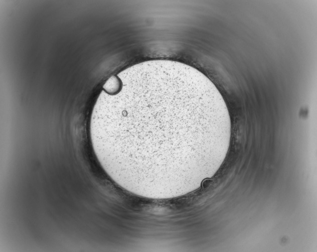 X0000103150743200809192029