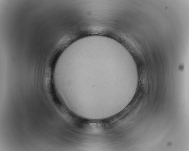 X0000103150744200809192029