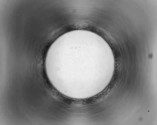 X0000103150745200809192029