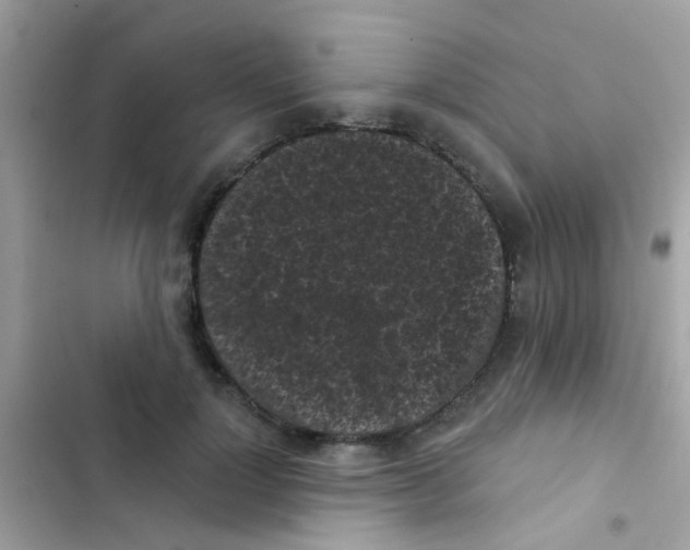 X0000103150748200809192029